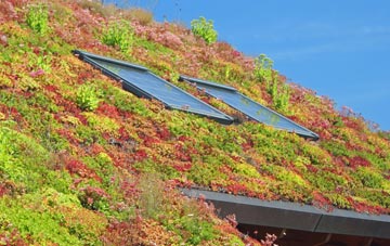 Trislaig living roof systems